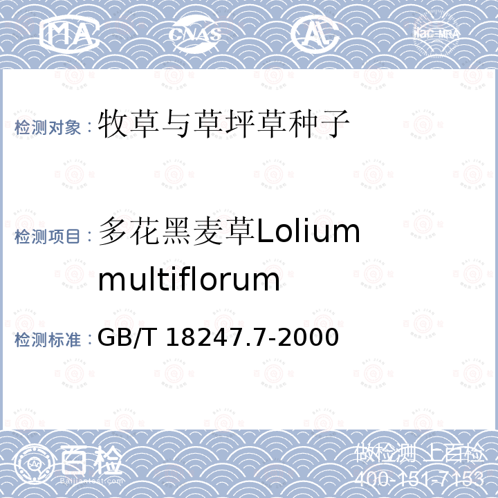 多花黑麦草Lolium multiflorum 多花黑麦草Lolium multiflorum GB/T 18247.7-2000