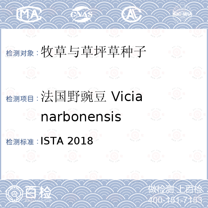 法国野豌豆 Vicia narbonensis ISTA 2018  