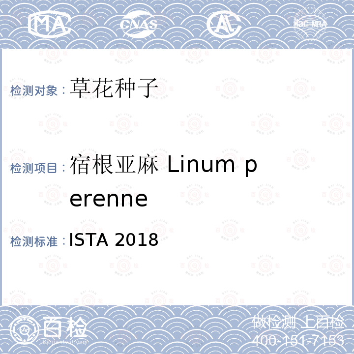 宿根亚麻 Linum perenne ISTA 2018  