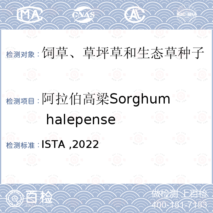 阿拉伯高梁Sorghum halepense ISTA ,2022  