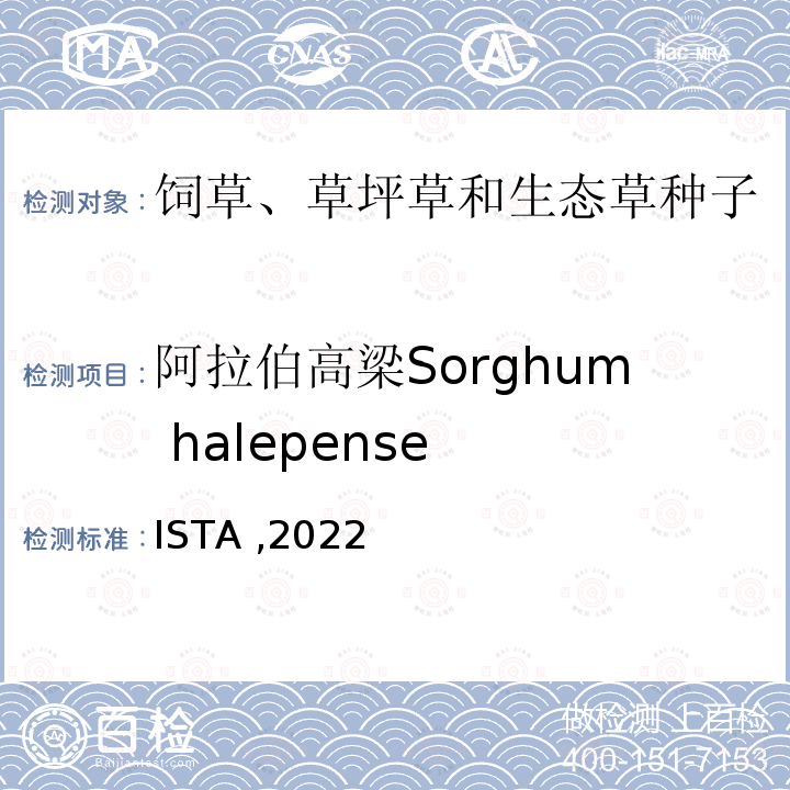 阿拉伯高梁Sorghum halepense 阿拉伯高梁Sorghum halepense ISTA ,2022