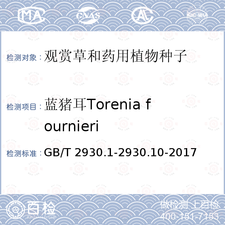 蓝猪耳Torenia fournieri GB/T 2930.1-2930  .10-2017