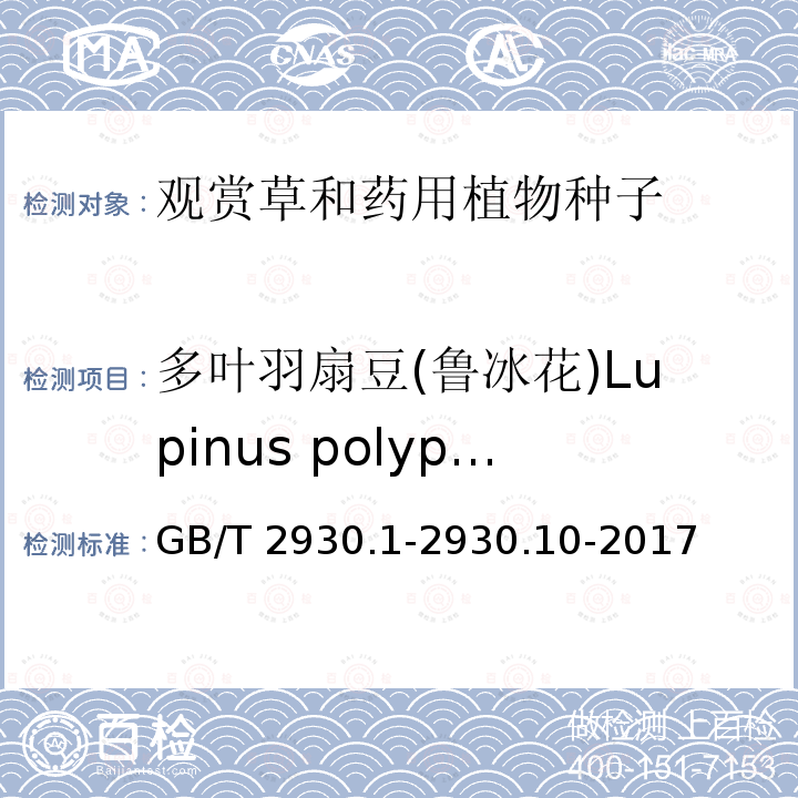 多叶羽扇豆(鲁冰花)Lupinus polyphyllus GB/T 2930.1-2930 多叶羽扇豆(鲁冰花)Lupinus polyphyllus .10-2017