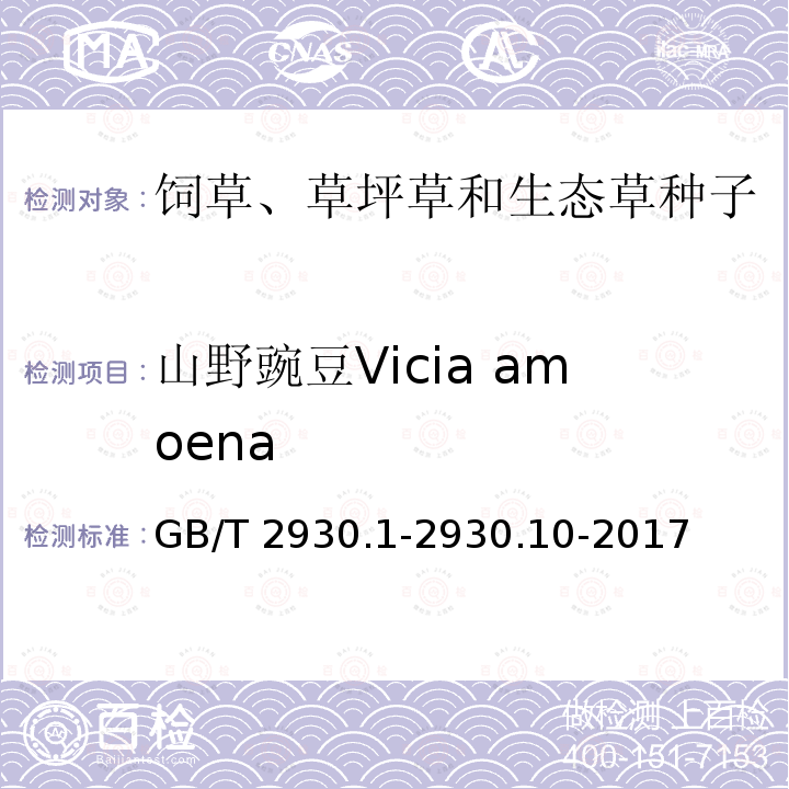 山野豌豆Vicia amoena GB/T 2930.1-2930  .10-2017