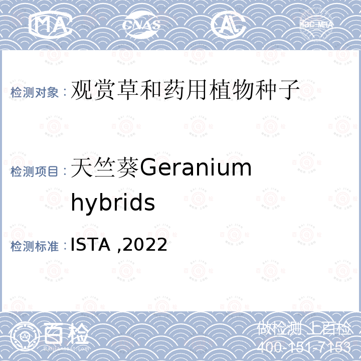 天竺葵Geranium hybrids ISTA ,2022  