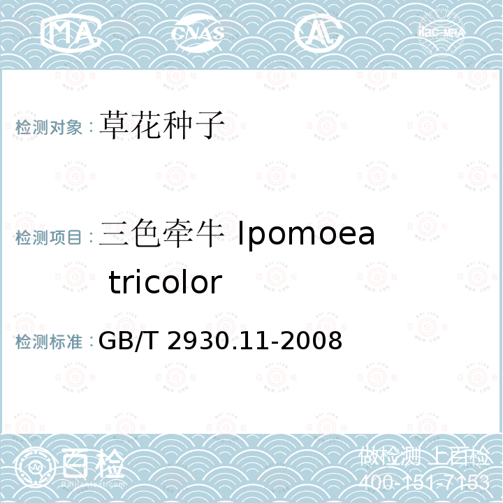 三色牵牛 Ipomoea tricolor GB/T 2930.11-2008 草种子检验规程 检验报告
