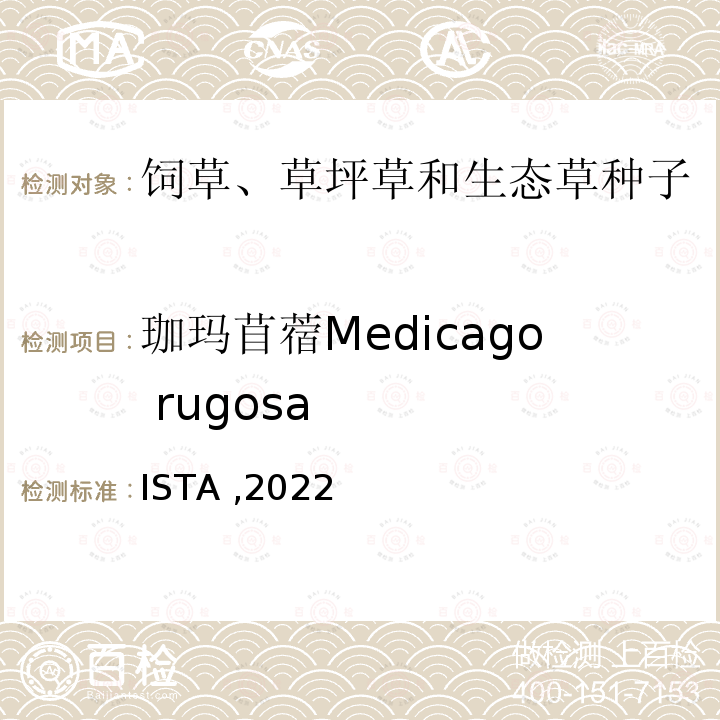 珈玛苜蓿Medicago rugosa ISTA ,2022  