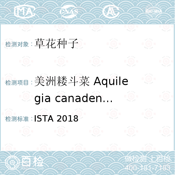 美洲耧斗菜 Aquilegia canadensis ISTA 2018  