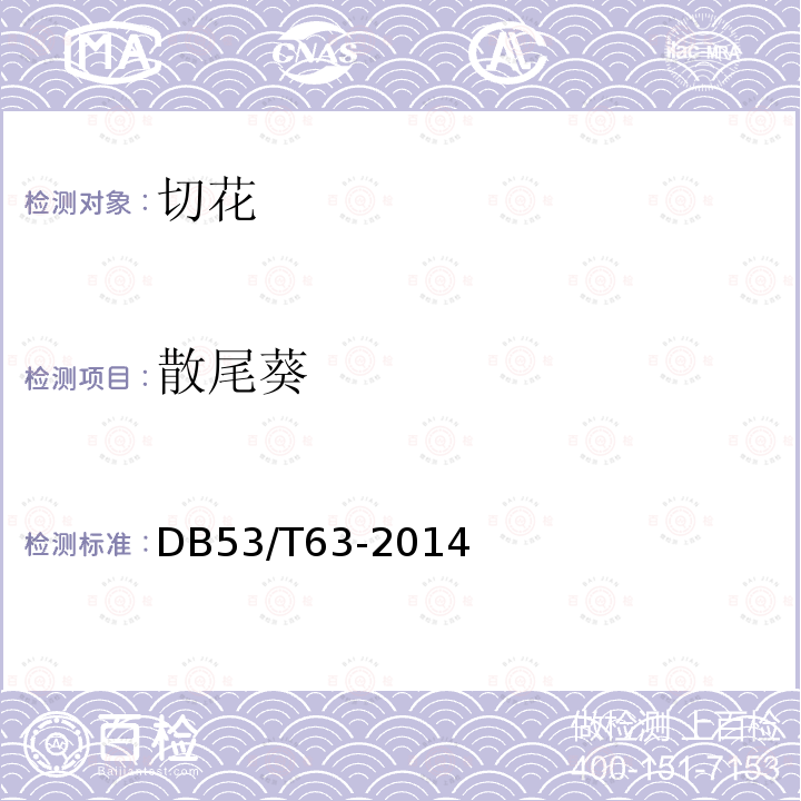 散尾葵 DB53/T 63-2014 主要鲜切花产品等级