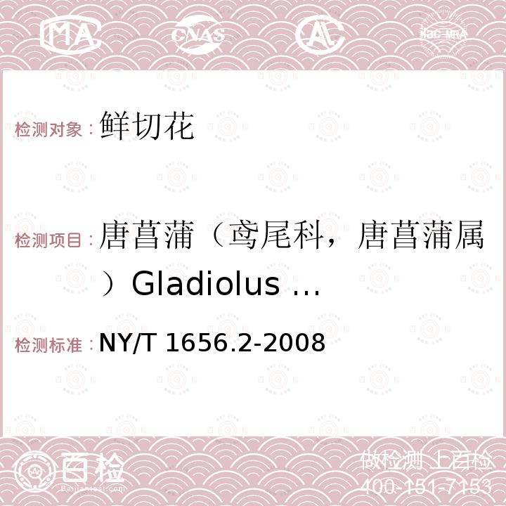 唐菖蒲（鸢尾科，唐菖蒲属）Gladiolus hybridus NY/T 1656.2-2008 花卉检验技术规范 第2部分:切花检验