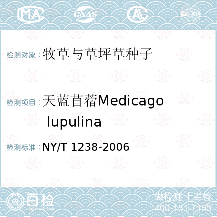 天蓝苜蓿Medicago lupulina 天蓝苜蓿Medicago lupulina NY/T 1238-2006