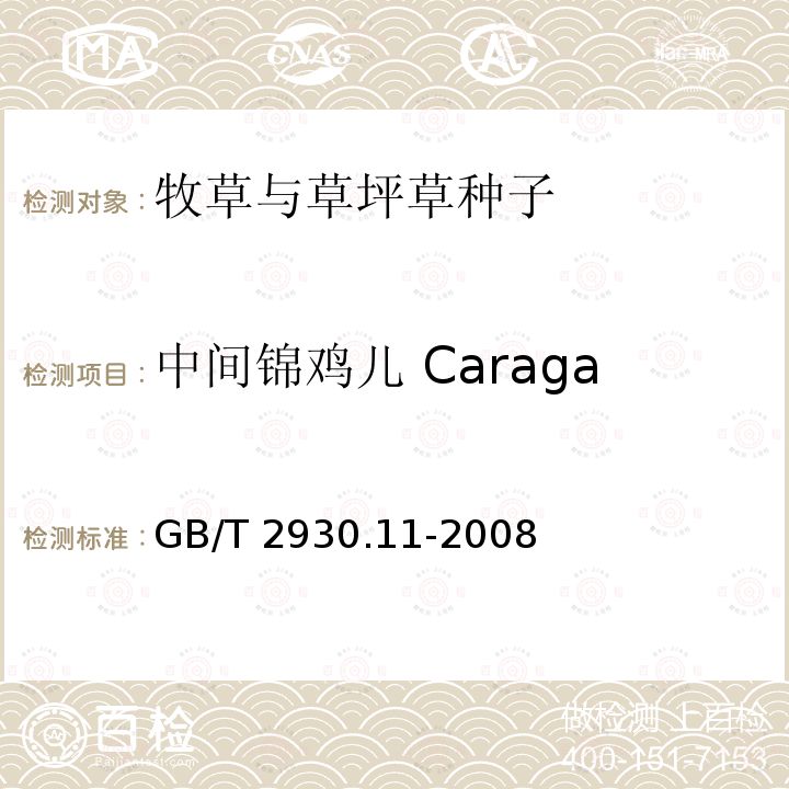中间锦鸡儿 Caragana intermdia GB/T 2930.11-2008 草种子检验规程 检验报告