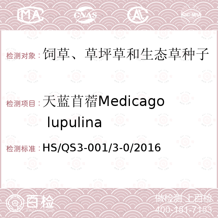天蓝苜蓿Medicago lupulina HS/QS3-001/3-0/2016  