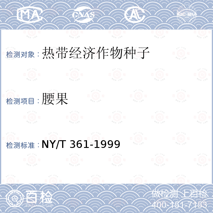 腰果 NY/T 361-1999 腰果 种子