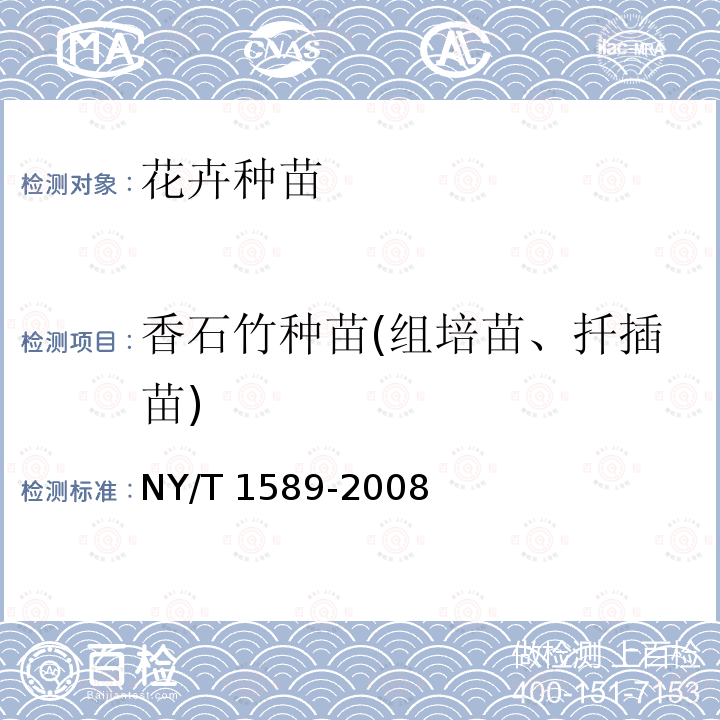 香石竹种苗(组培苗、扦插苗) NY/T 1589-2008 香石竹切花种苗等级规格