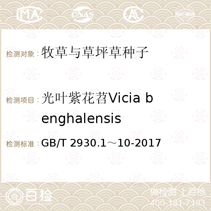 光叶紫花苕Vicia benghalensis 光叶紫花苕Vicia benghalensis GB/T 2930.1～10-2017