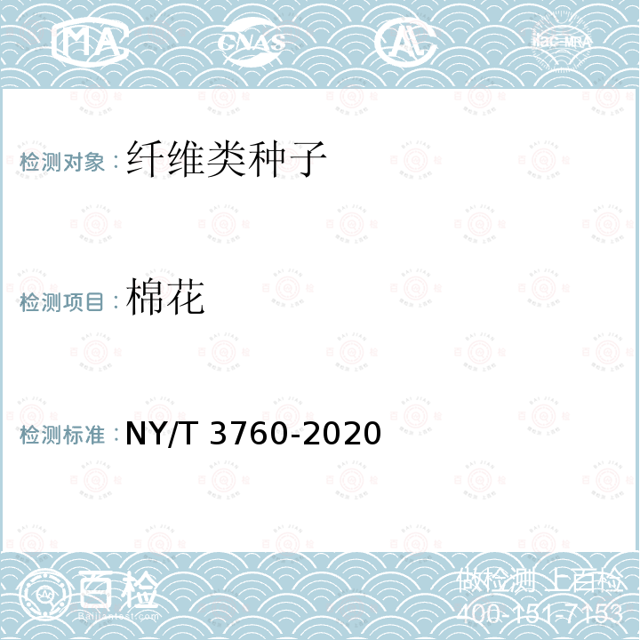 棉花 NY/T 3760-2020 棉花品种纯度田间小区种植鉴定技术规程