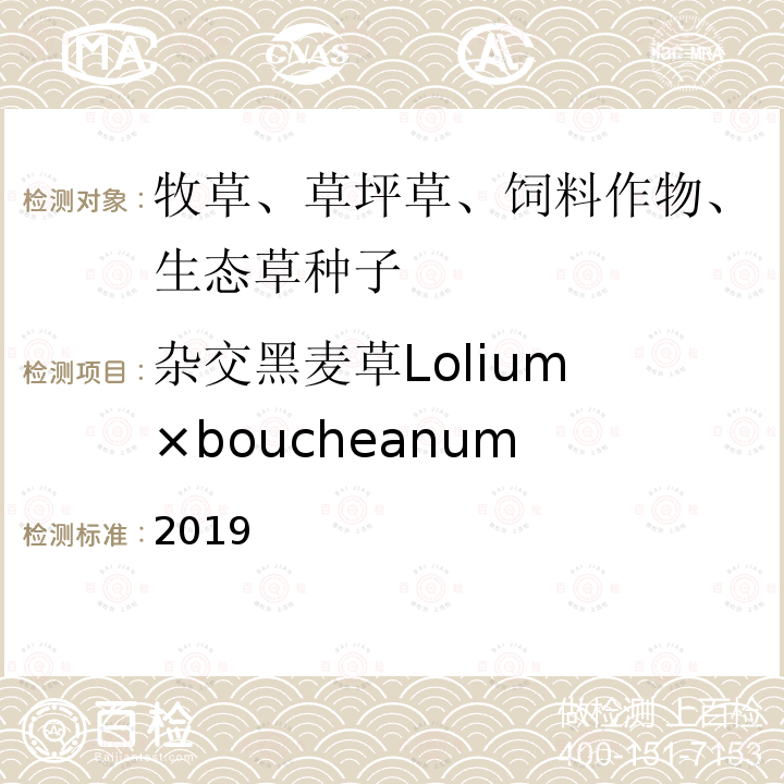 杂交黑麦草Lolium ×boucheanum 国际种子检验规程 2019 