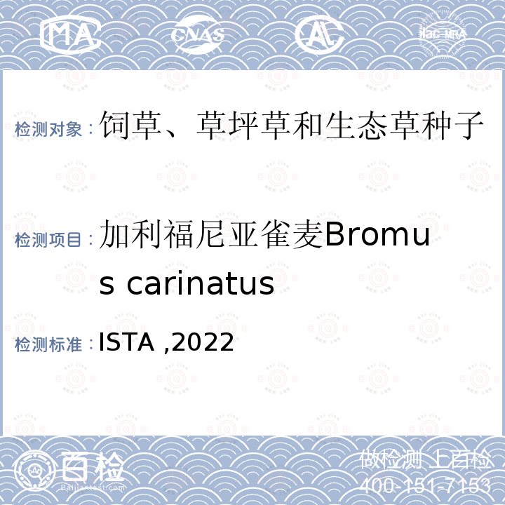加利福尼亚雀麦Bromus carinatus 国际种子检验规程 ISTA ,2022