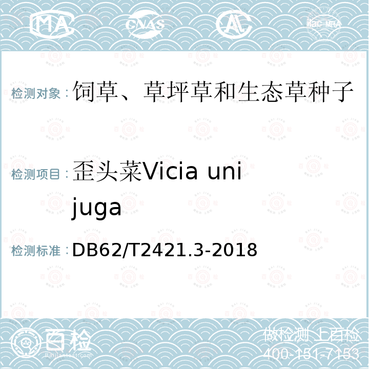 歪头菜Vicia unijuga 主要草种子质量 第3部分 豆科草种子 DB62/T2421.3-2018