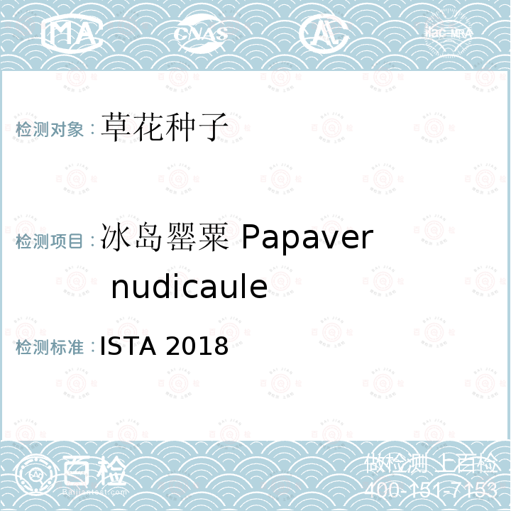 冰岛罂粟 Papaver nudicaule 国际种子检验规程 ISTA 2018