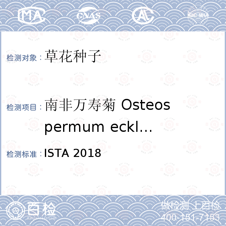 南非万寿菊 Osteospermum ecklonis 国际种子检验规程 ISTA 2018