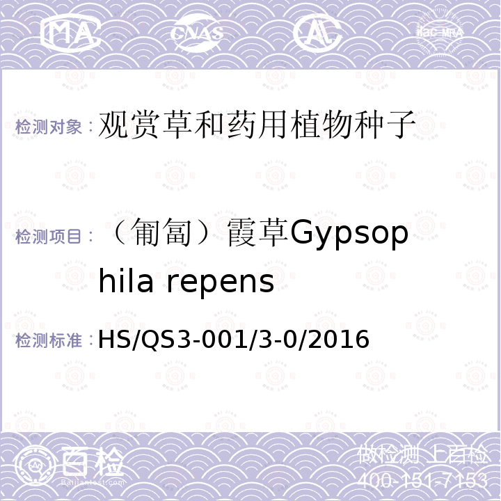 （匍匐）霞草Gypsophila repens 自制规程 HS/QS3-001/3-0/2016