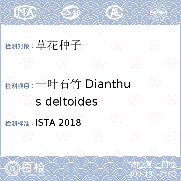 一叶石竹 Dianthus deltoides 国际种子检验规程 ISTA 2018