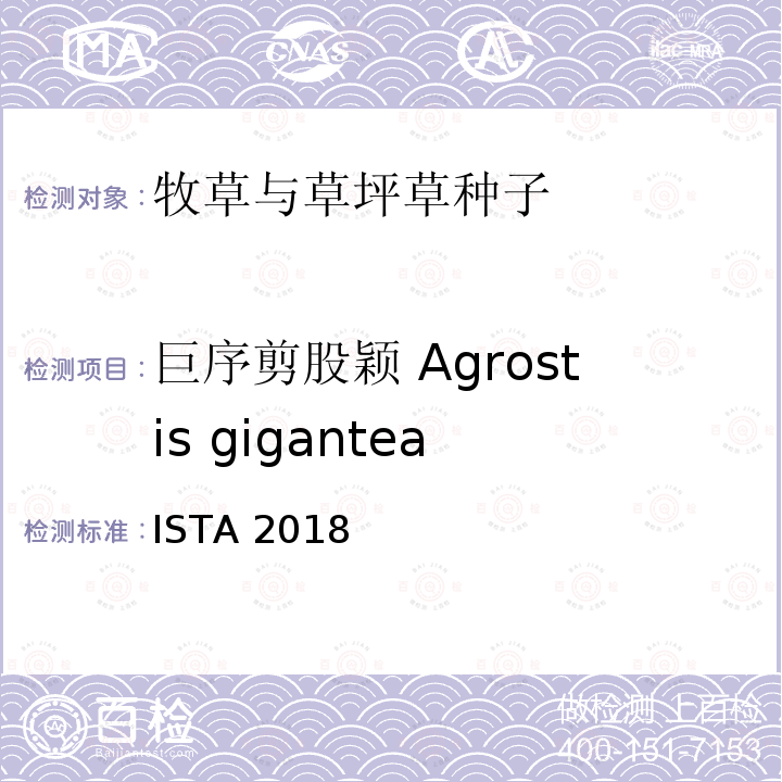 巨序剪股颖 Agrostis gigantea 国际种子检验规程 ISTA 2018