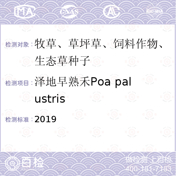 泽地早熟禾Poa palustris 国际种子检验规程 2019 