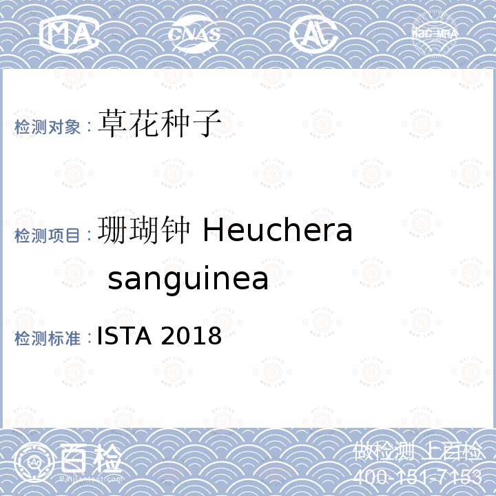珊瑚钟 Heuchera sanguinea 国际种子检验规程 ISTA 2018