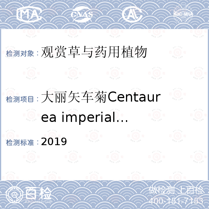 大丽矢车菊Centaurea imperialis 国际种子检验规程 2019 