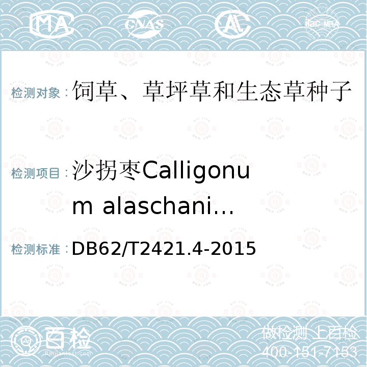 沙拐枣Calligonum alaschanicum 主要草种子质量 第4部分 蓼科草种子 DB62/T2421.4-2015
