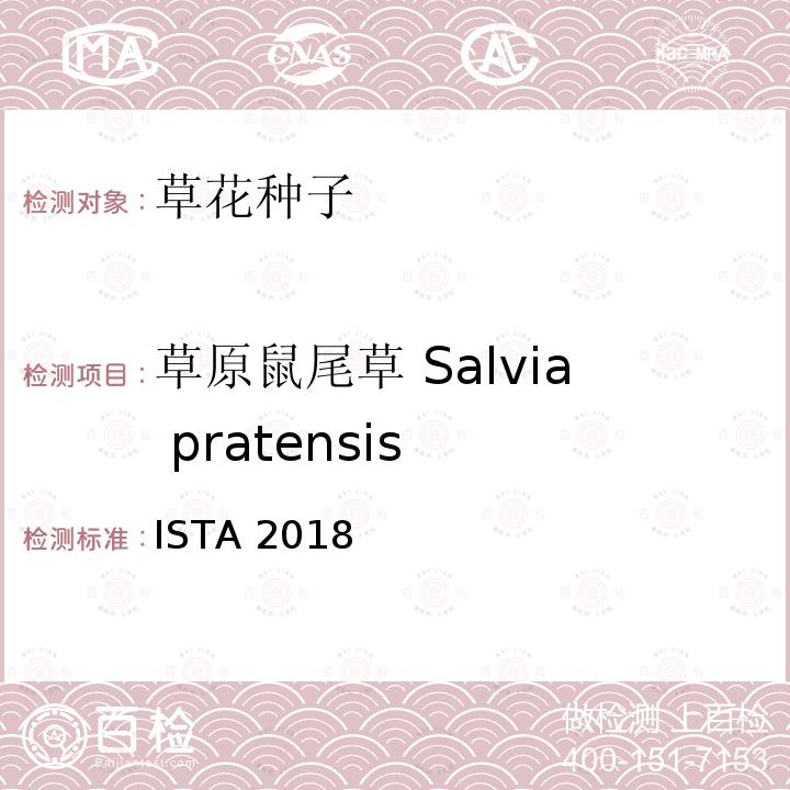 草原鼠尾草 Salvia pratensis 国际种子检验规程 ISTA 2018