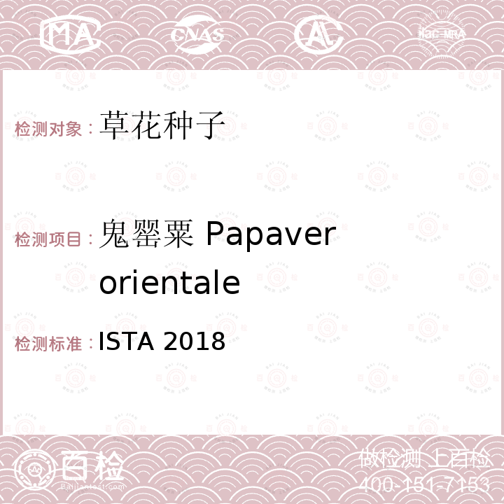 鬼罂粟 Papaver orientale 国际种子检验规程 ISTA 2018