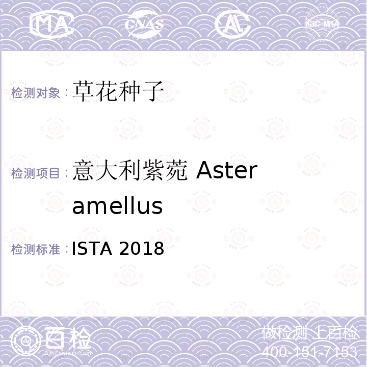 意大利紫菀 Aster amellus 国际种子检验规程 ISTA 2018