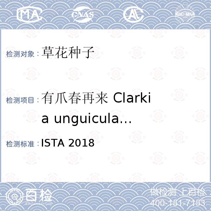 有爪春再来 Clarkia unguiculata 国际种子检验规程 ISTA 2018