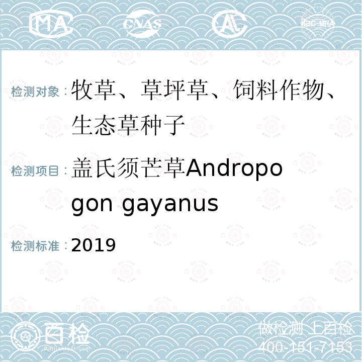 盖氏须芒草Andropogon gayanus 国际种子检验规程 2019 