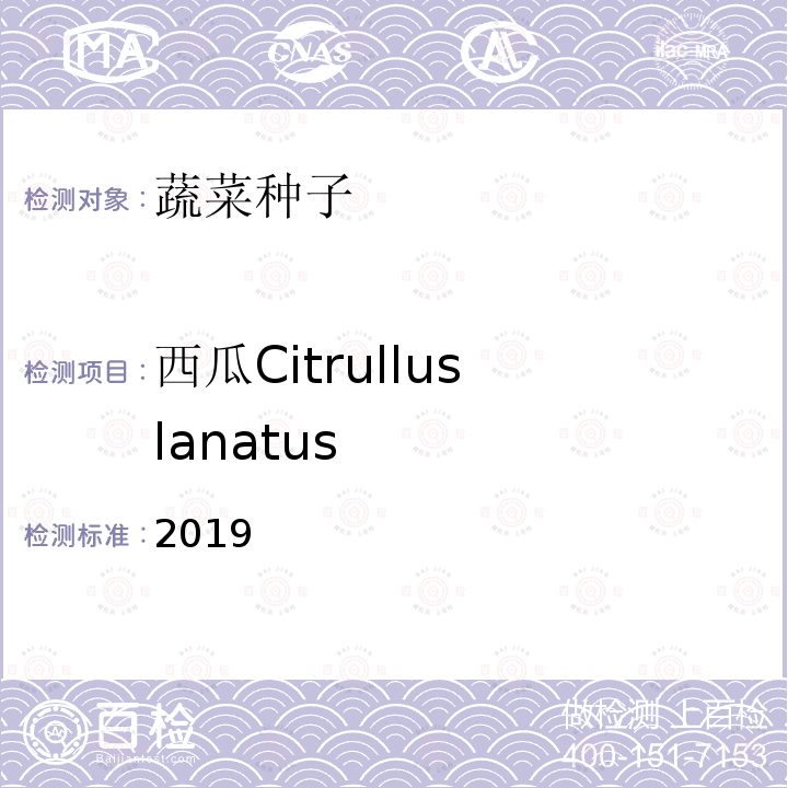 西瓜Citrullus lanatus 国际种子检验规程 2019 