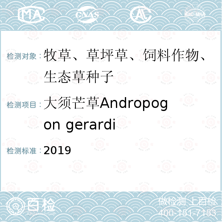 大须芒草Andropogon gerardi 国际种子检验规程 2019