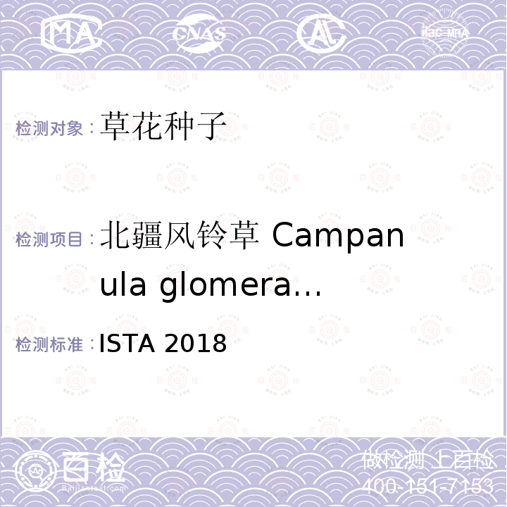 北疆风铃草 Campanula glomerata 国际种子检验规程 ISTA 2018