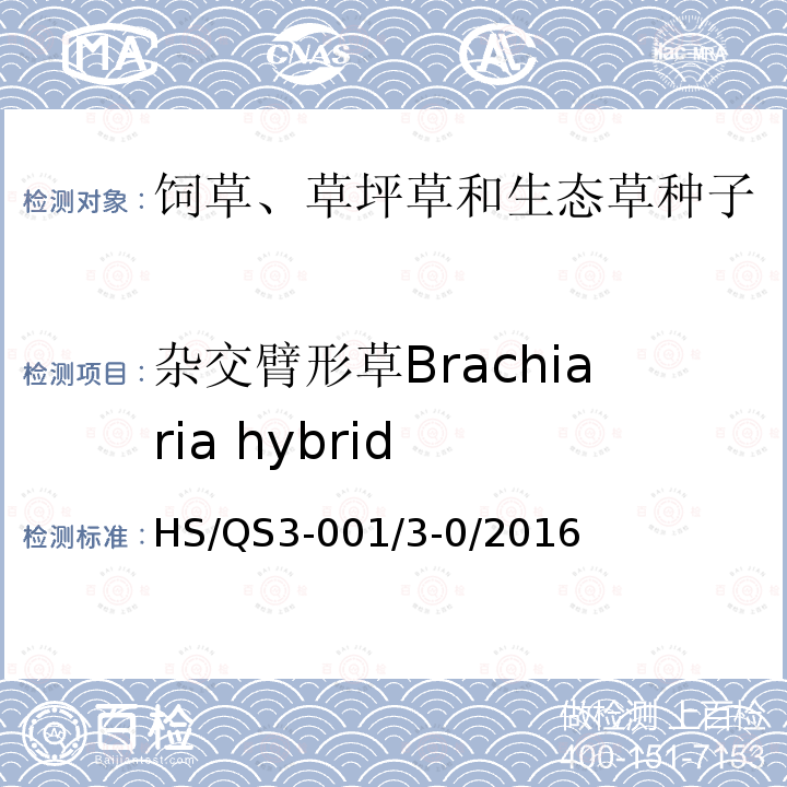 杂交臂形草Brachiaria hybrid 自制规程 HS/QS3-001/3-0/2016