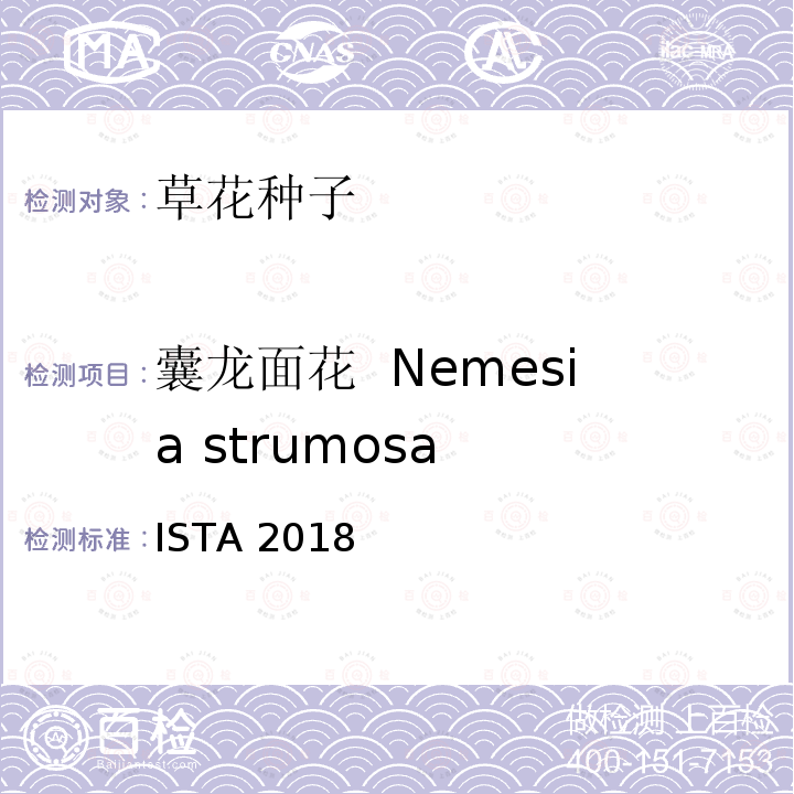 囊龙面花  Nemesia strumosa 国际种子检验规程 ISTA 2018