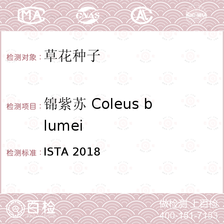 锦紫苏 Coleus blumei 国际种子检验规程 ISTA 2018