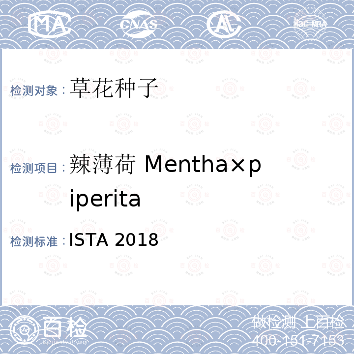 辣薄荷 Mentha×piperita 国际种子检验规程 ISTA 2018