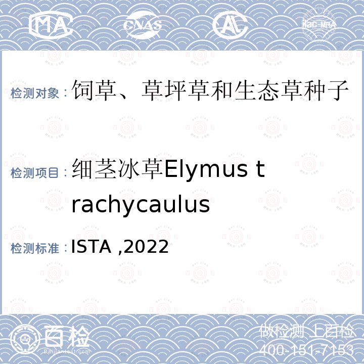 细茎冰草Elymus trachycaulus 国际种子检验规程 ISTA ,2022