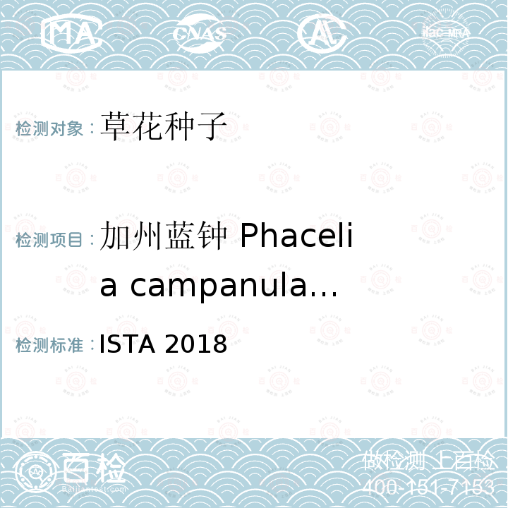 加州蓝钟 Phacelia campanularia 国际种子检验规程 ISTA 2018