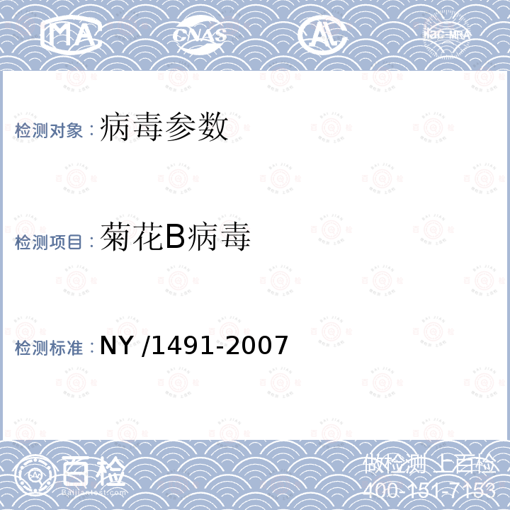 菊花B病毒 花卉植物病毒检测规程 NY /1491-2007