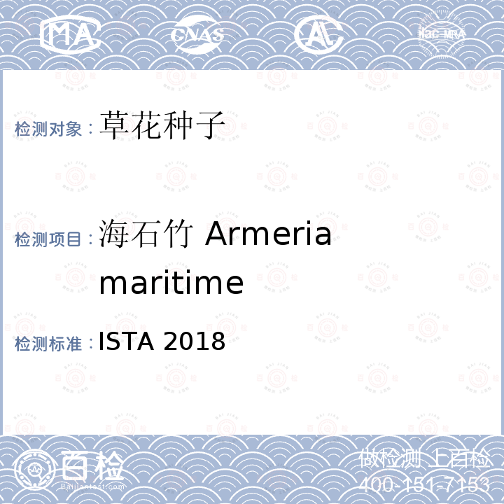 海石竹 Armeria maritime 国际种子检验规程 ISTA 2018