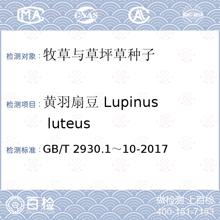 黄羽扇豆 Lupinus luteus 草种子检验规程 GB/T 2930.1～10-2017